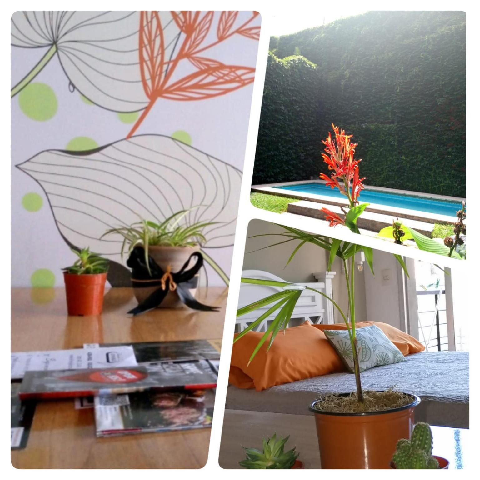Apartamento Donde El Alma Sonrie Ahi Es Piscina Jardin Facil Acceso Por Avda 9 De Julio