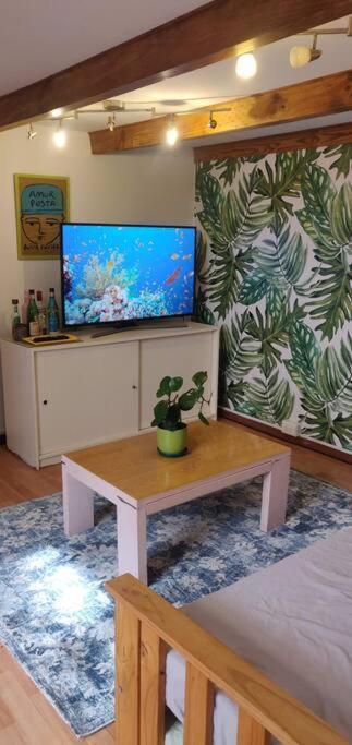Apartamento In Palermo Ph