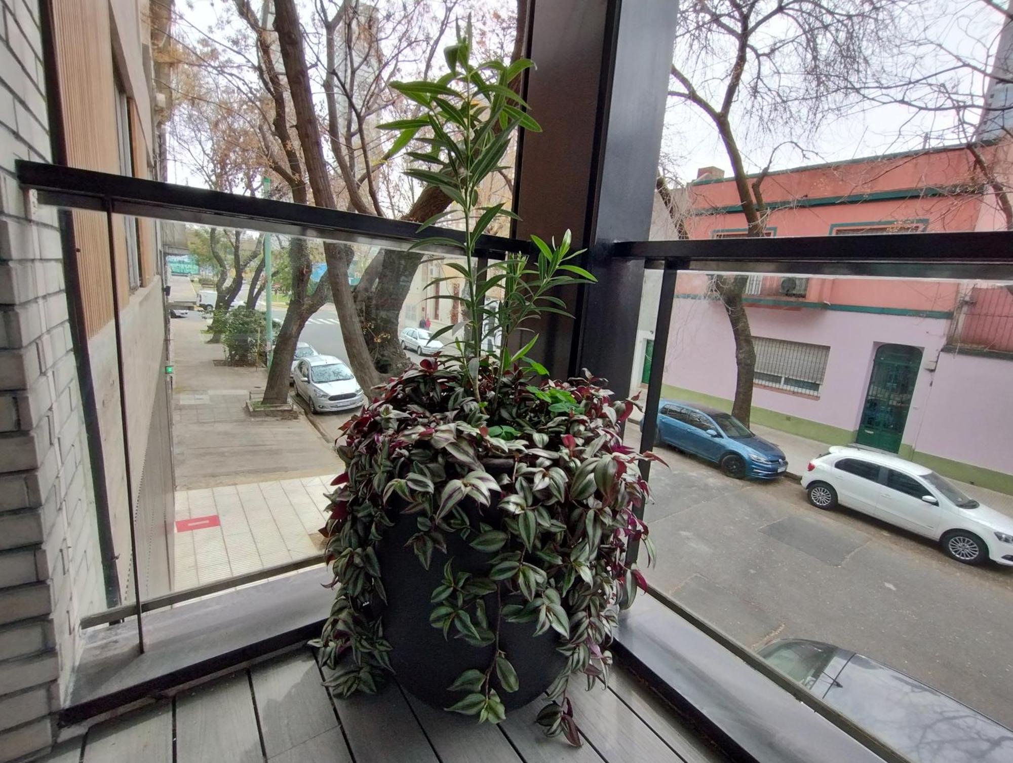 Estudio En Palermo * Ciudad Autónoma de Buenos Aires