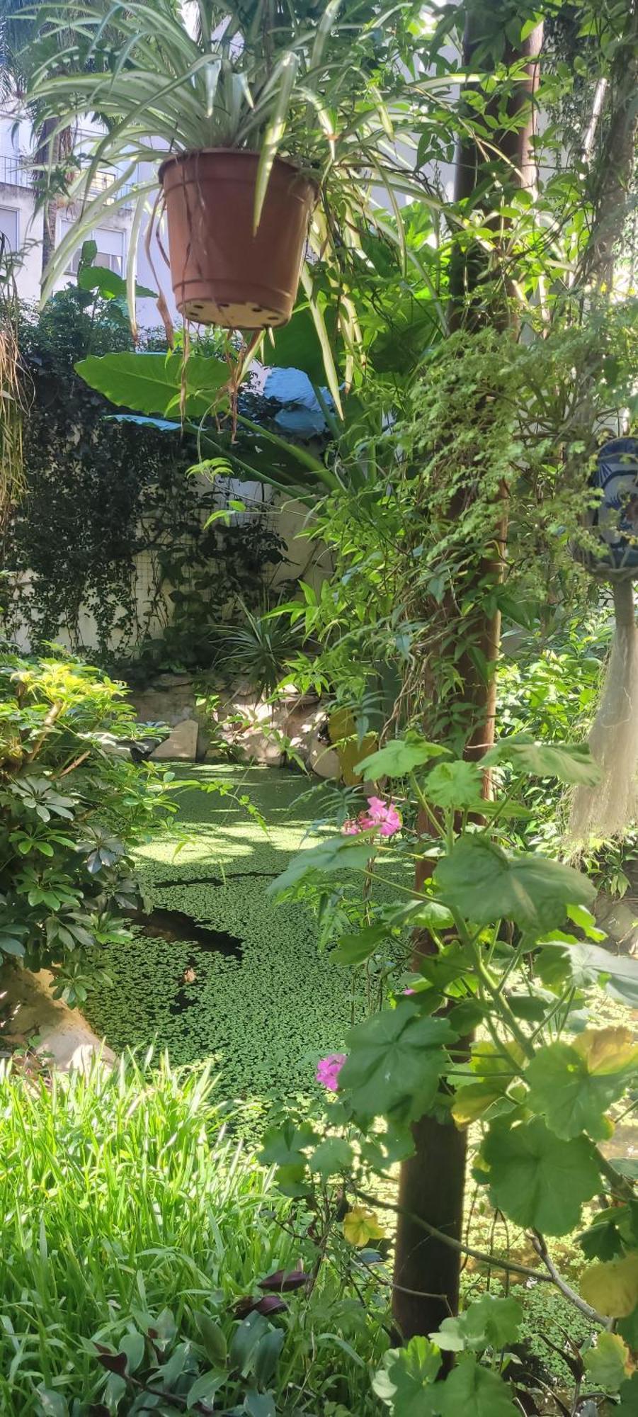 Apartamento Belgrano