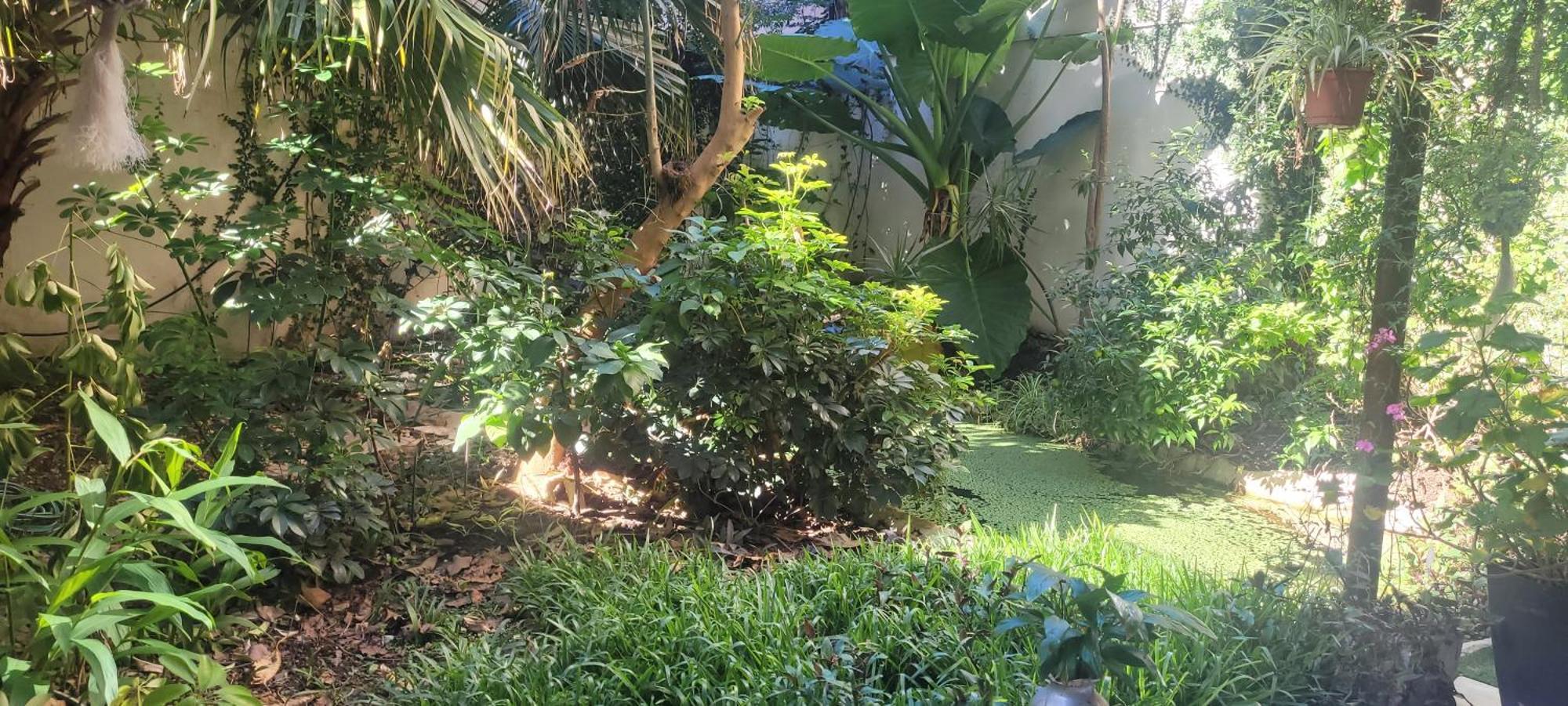 Belgrano Apartamento *