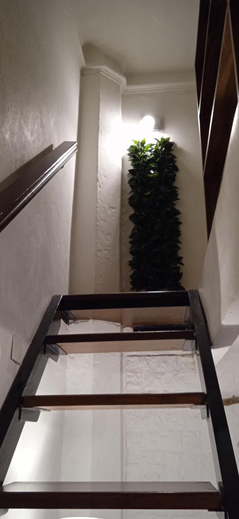 Apartamento Centrico Y Espacioso Monoambiente Con Cocina