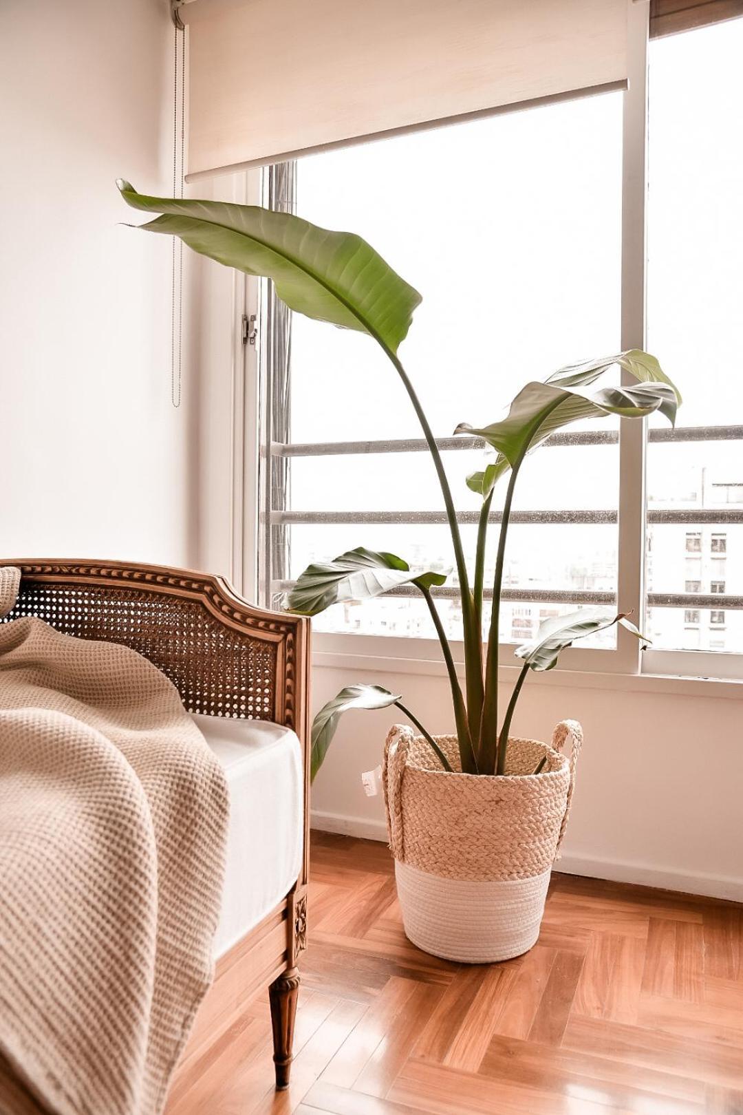 Acogedor Espacio En Recoleta Apartamento Ciudad Autónoma de Buenos Aires