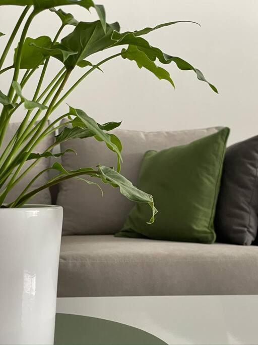 Studio En Palermo Con Jardin Privado Y Parrilla * Buenos Aires