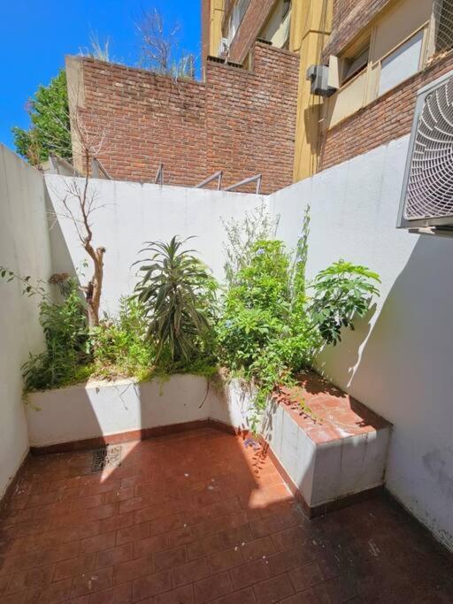 Comodo Monoambiente Apartamento