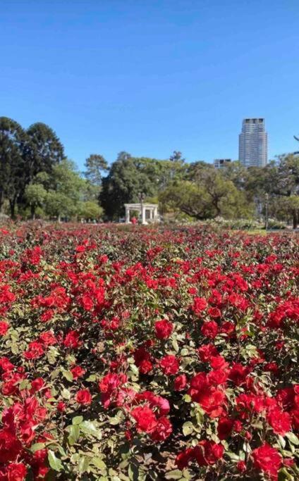 Con Hermosa Vista En Palermo Botanico