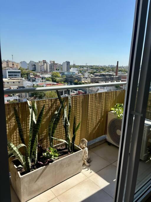 Vistoso Departamento C/balcon Apartamento Ciudad Autónoma de Buenos Aires