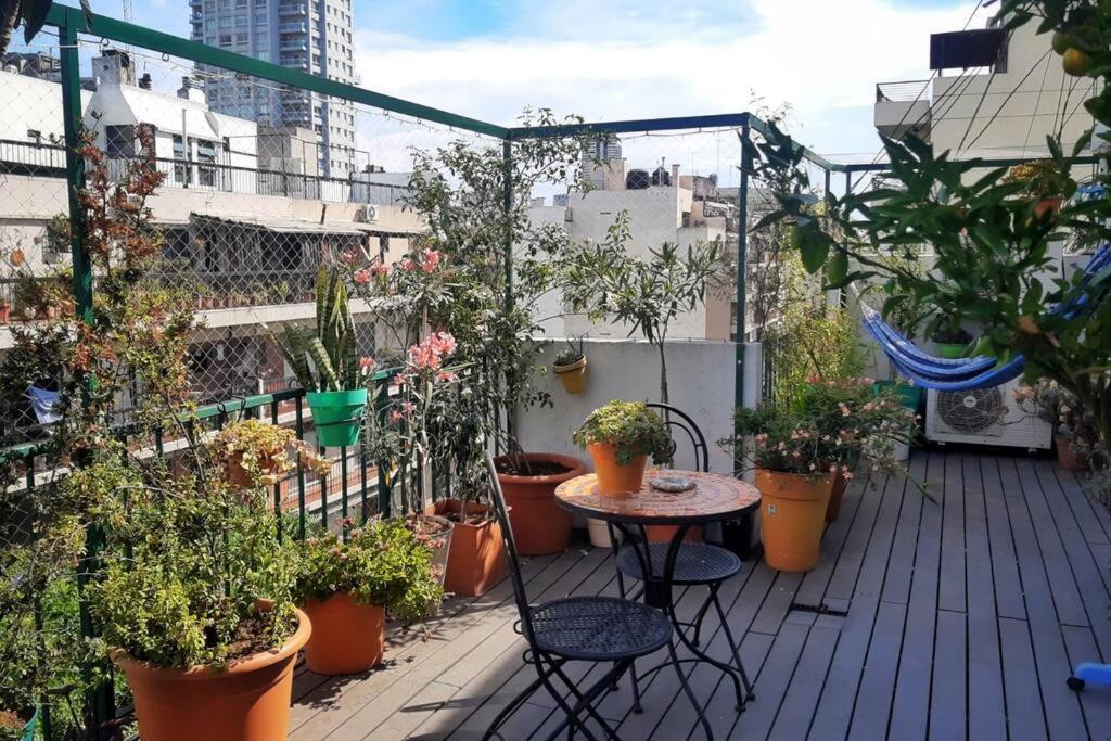 Terraza De Palermo