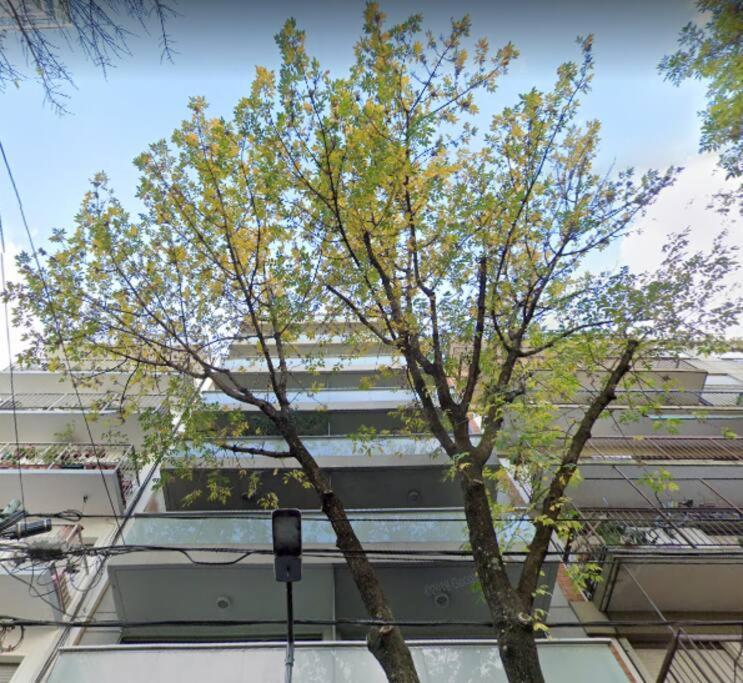 Apartamento Unique & Lovely In Palermo Ciudad Autónoma de Buenos Aires