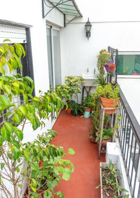 Apartamento En El Corazon De San Telmo