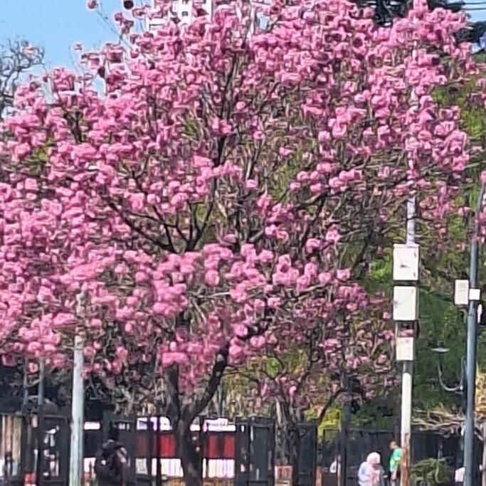 Excelente A Metros La Rural Y Embajada Con Piscina Y Gym Palermo Soho Apartamento *