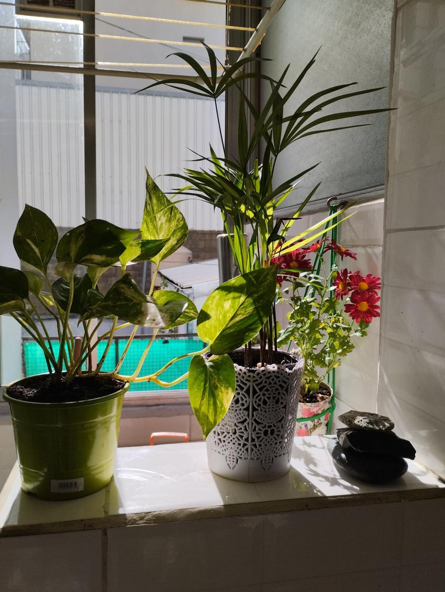 Apartamento Verde Almagro Dos Cuartos *