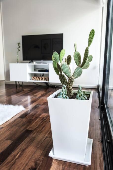 Apartamento Big Balcony Palermo Hollywood Ciudad Autónoma de Buenos Aires