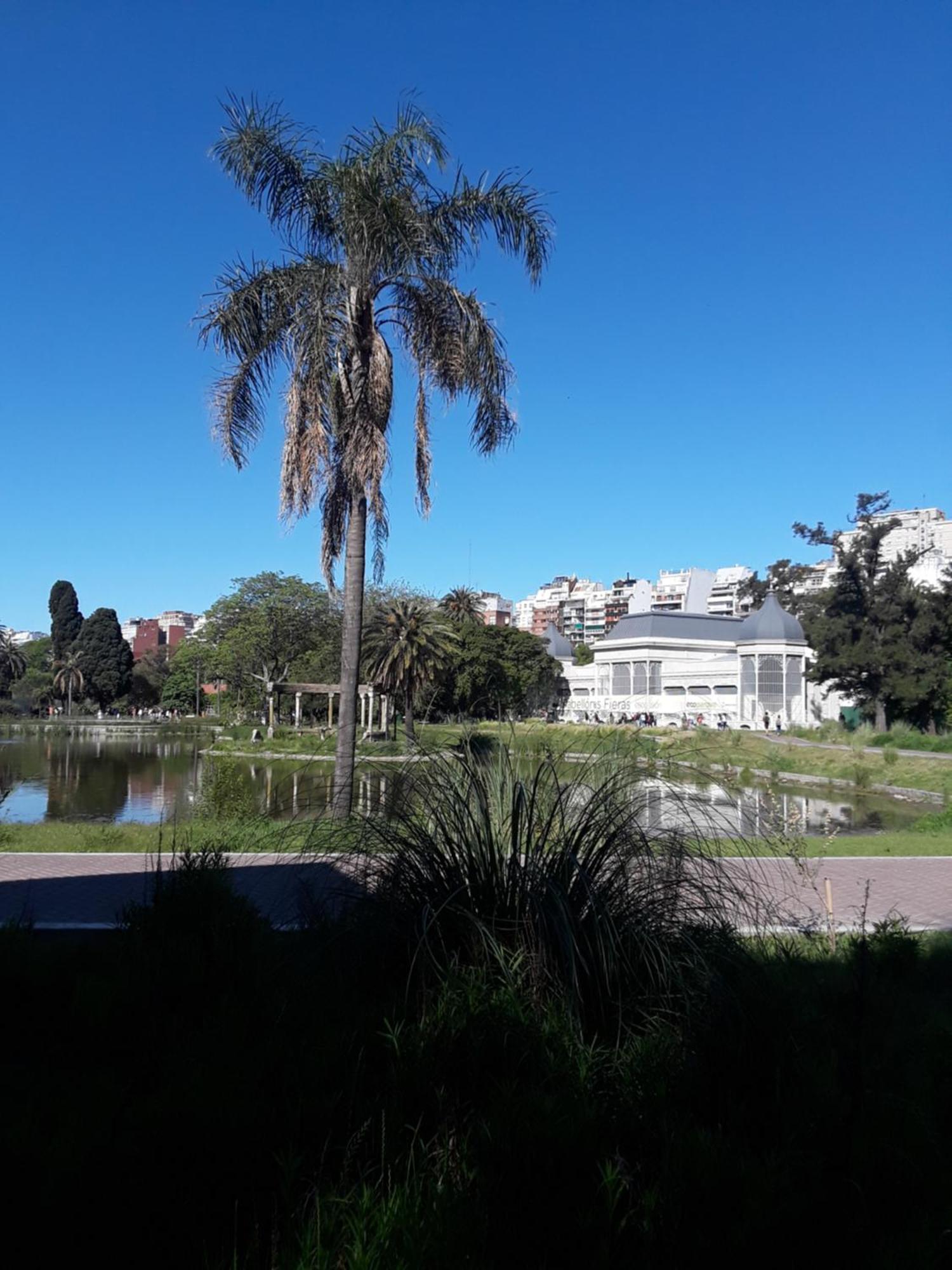 Departamento En Palermo Hollywood Modena * Ciudad Autónoma de Buenos Aires