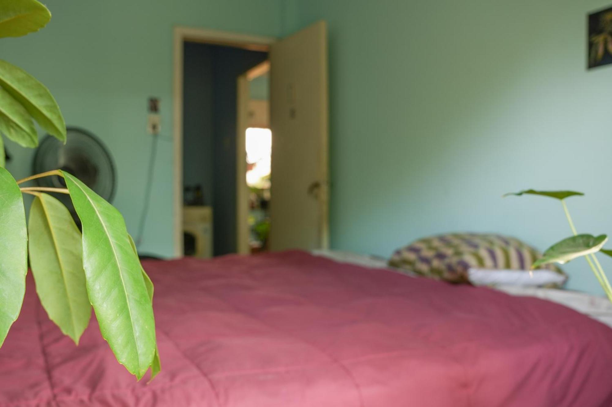 Habitación Amplia En Ph Primer Piso