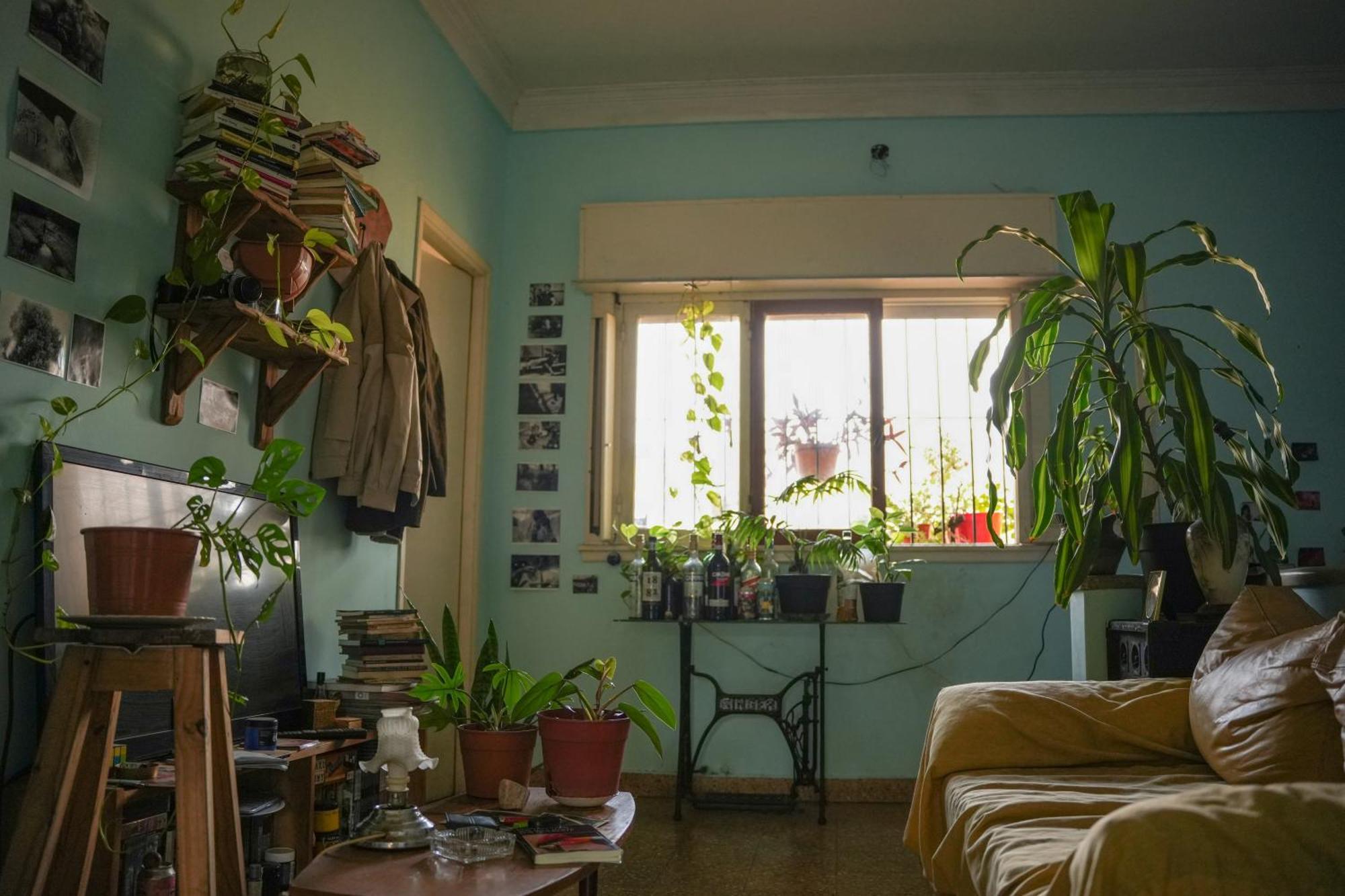 Habitación en casa particular Habitación Amplia En Ph Primer Piso Ciudad Autónoma de Buenos Aires