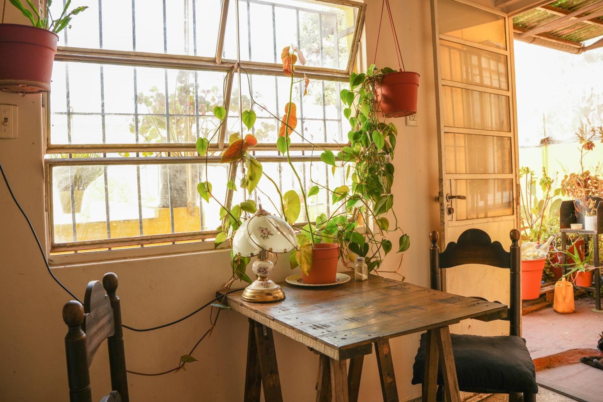 Habitación Amplia En Ph Primer Piso * Ciudad Autónoma de Buenos Aires