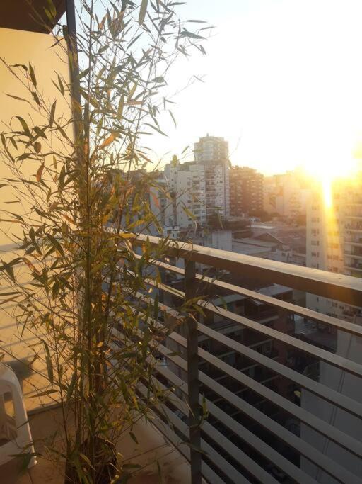 Departamento Con Amenities En Palermo Queens *