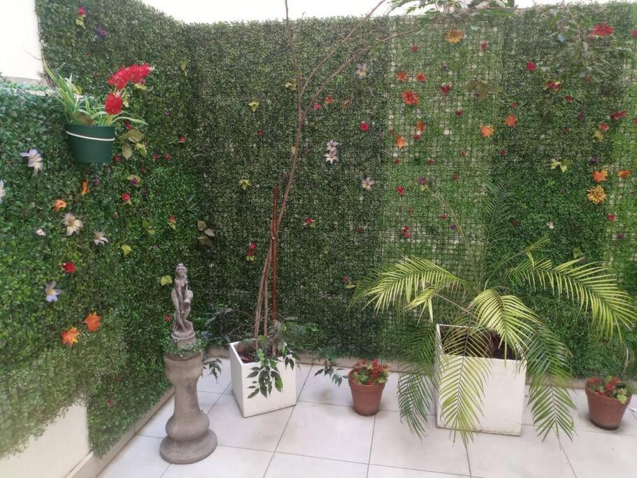 Recoleta, Acogedor Con Patio, Wifi, Bien Equipado Apartment *