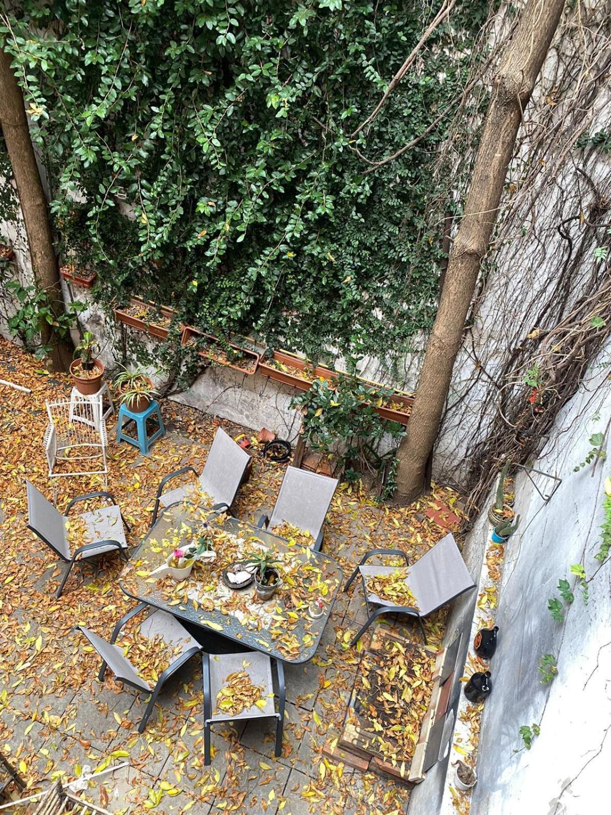 La Exclusiva De Oro Habitación en casa particular Ciudad Autónoma de Buenos Aires