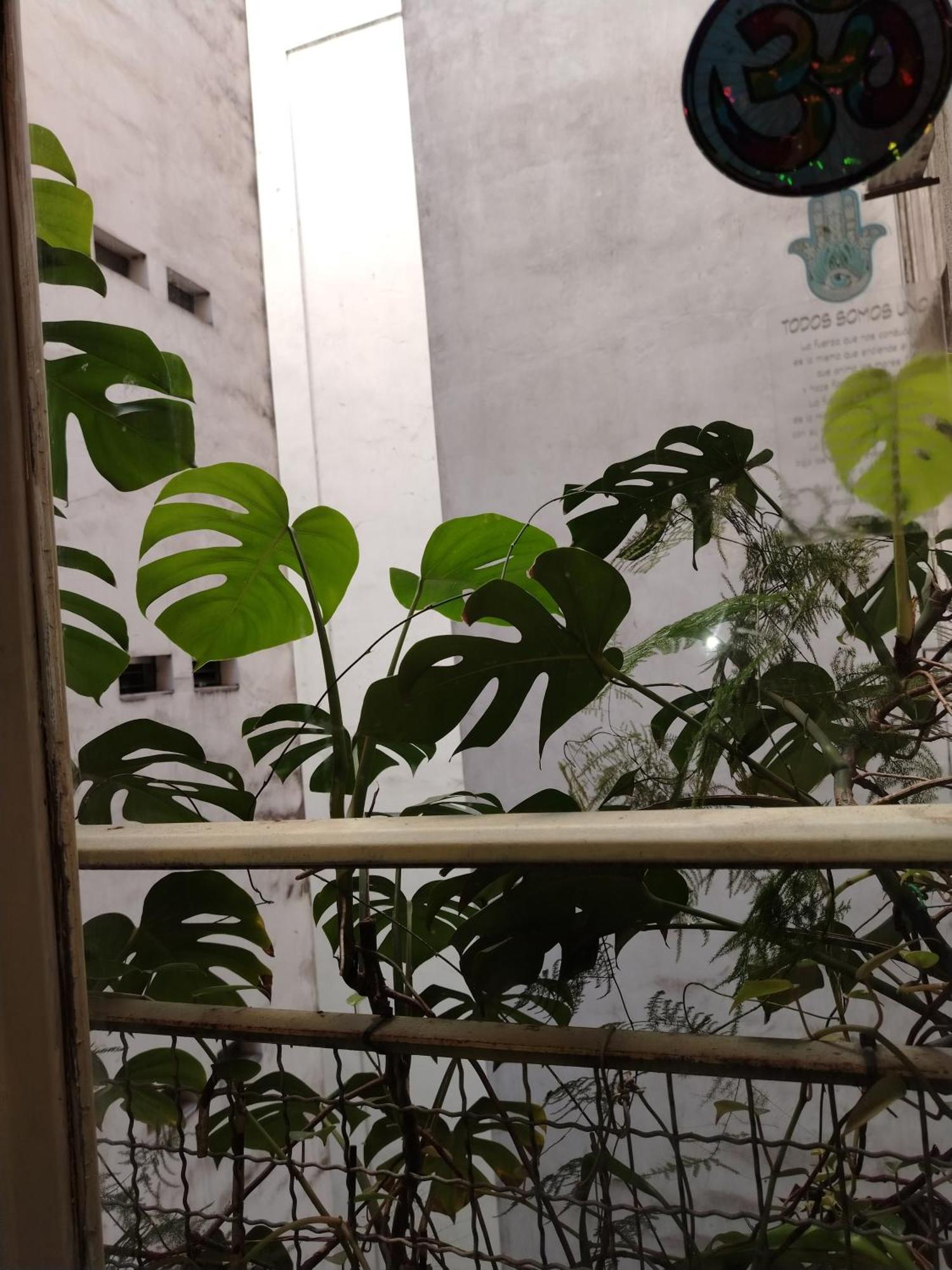 Apartamento Departamento En Recoleta