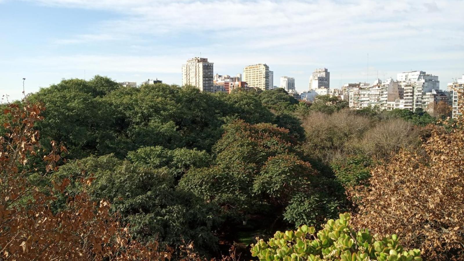 Santa Fe 3900 - Verde Botanico