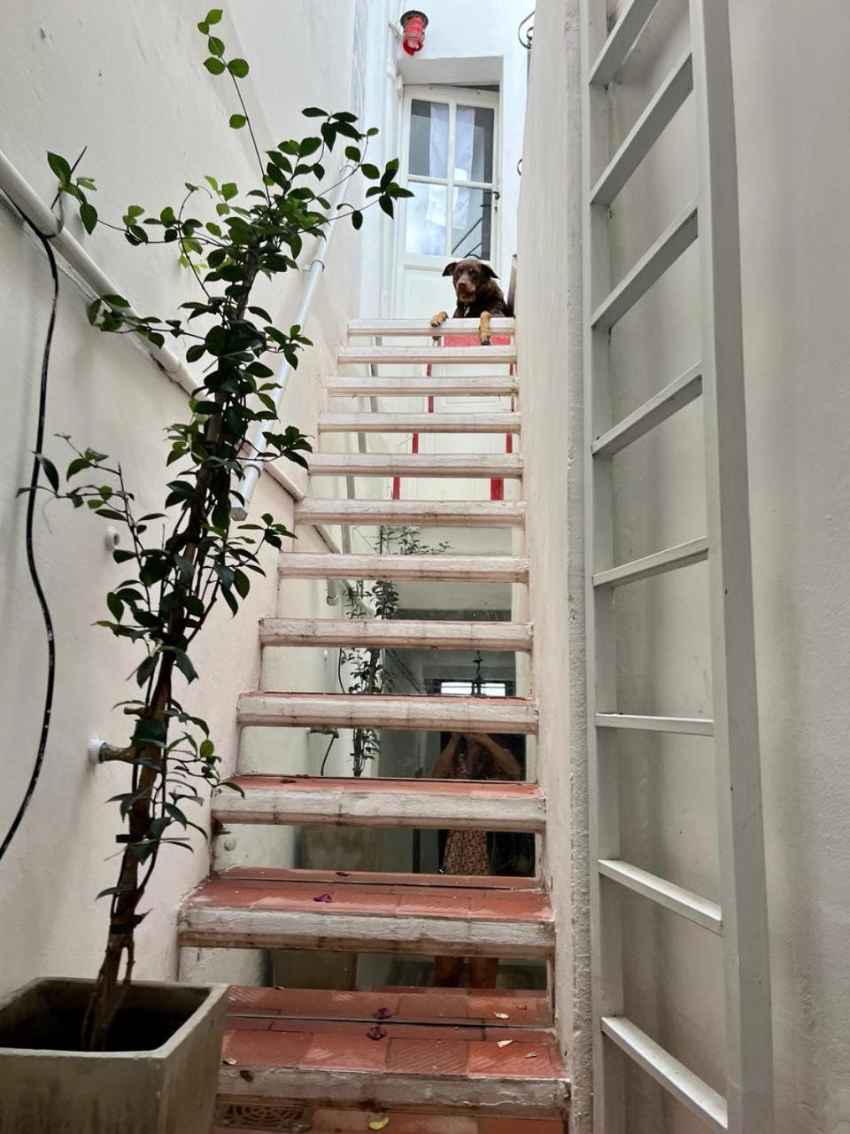 Apartamento Enchanting Townhouse Loft In Heart Of San Telmo