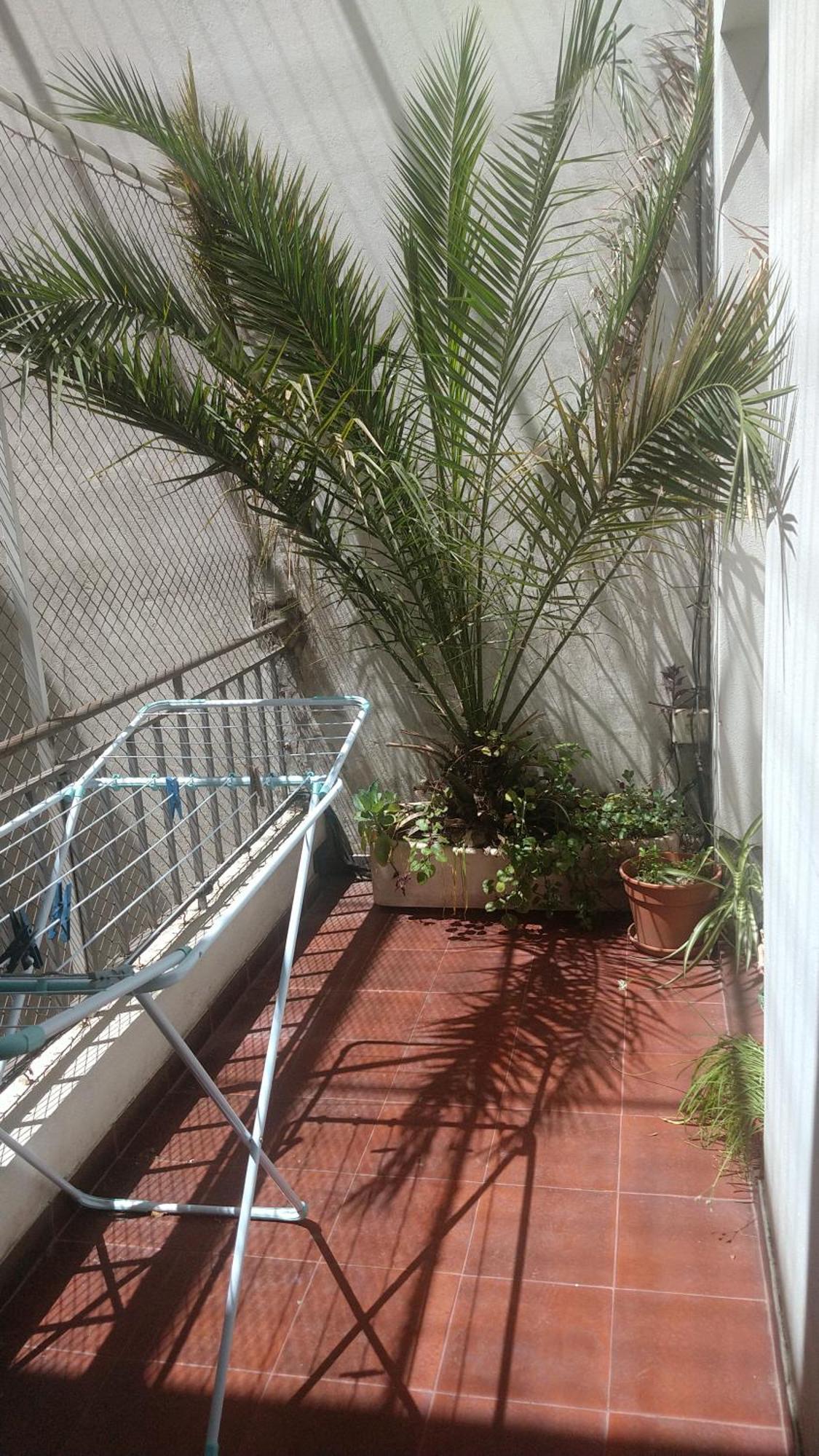 Apartamento Amplio Y Luminoso 120 M2