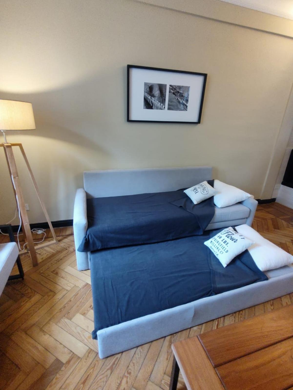Recoleta, Estilo Y Modernidad. Apartamento