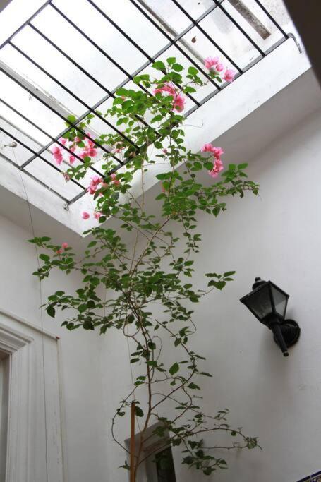 Precioso Departamento En Palermo Apartamento Buenos Aires