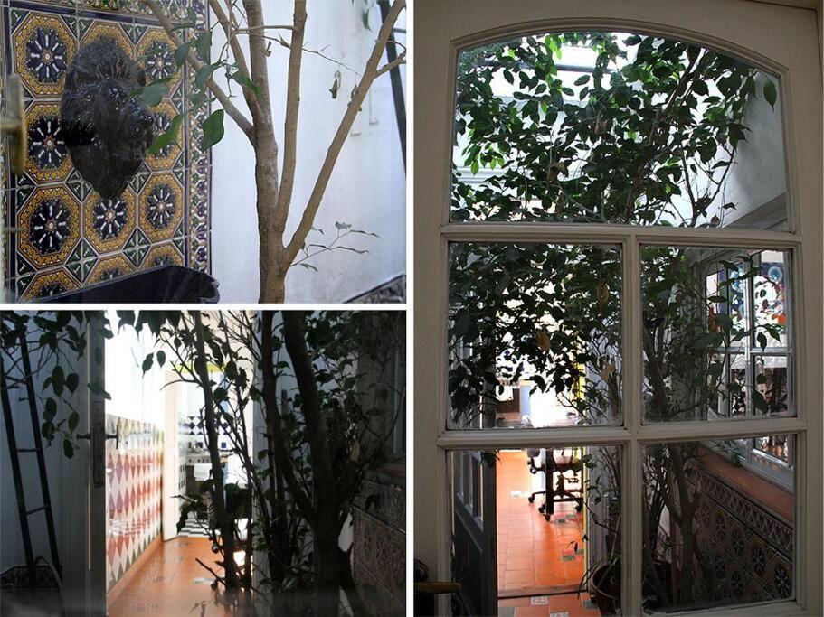 Precioso Departamento En Palermo Apartamento *