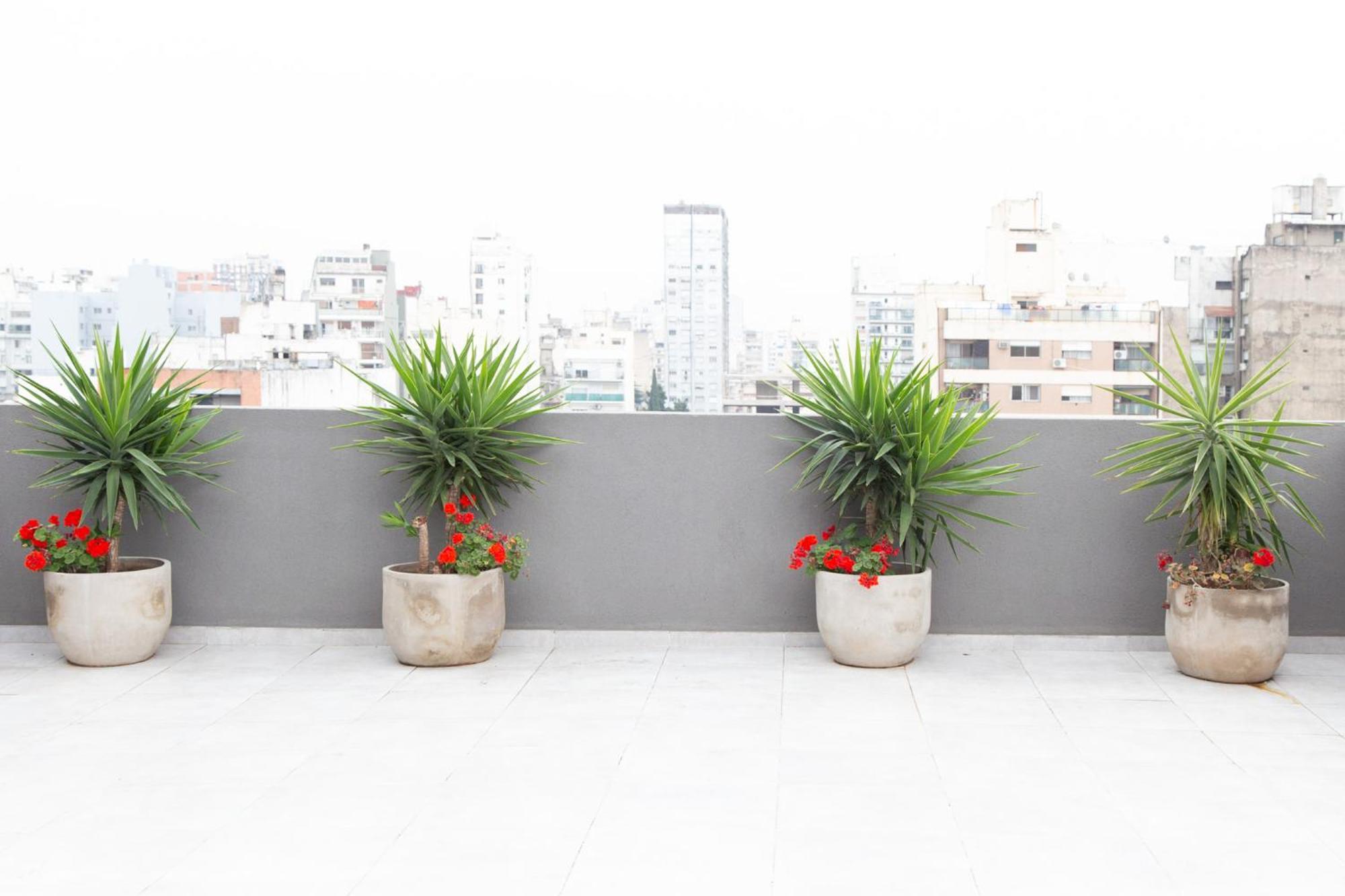 Ombu Fabulous Apartamento
