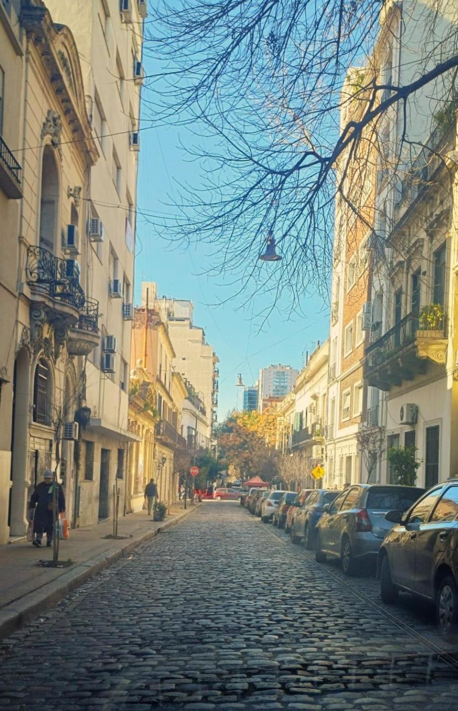 Apartamento Amplio Y Calido Departamento En El Corazon De San Telmo Buenos Aires