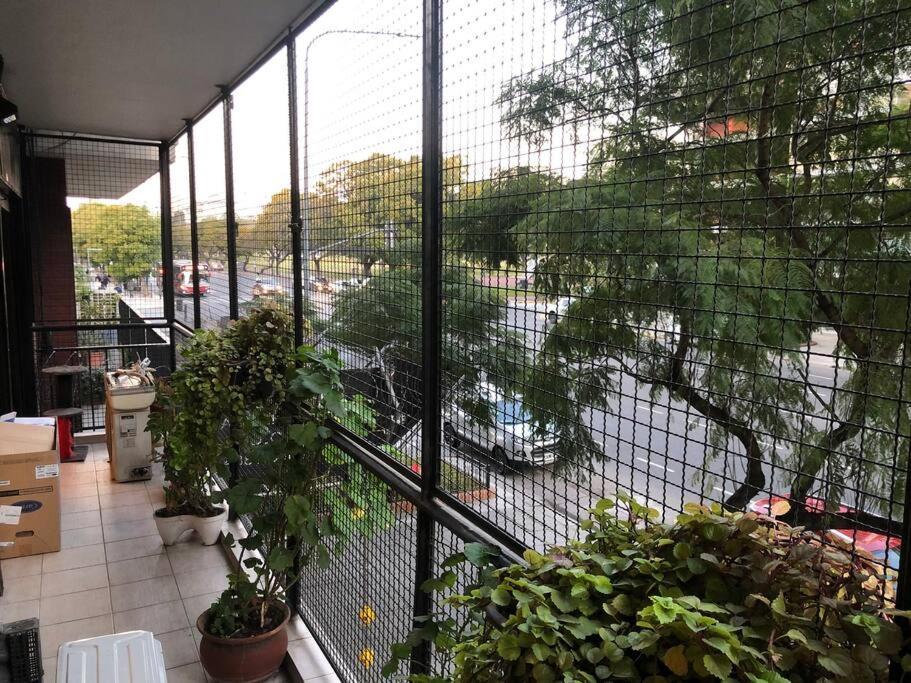 En Depto De Lujo Donde Viven 4 Gatitos Ciudad Autónoma de Buenos Aires