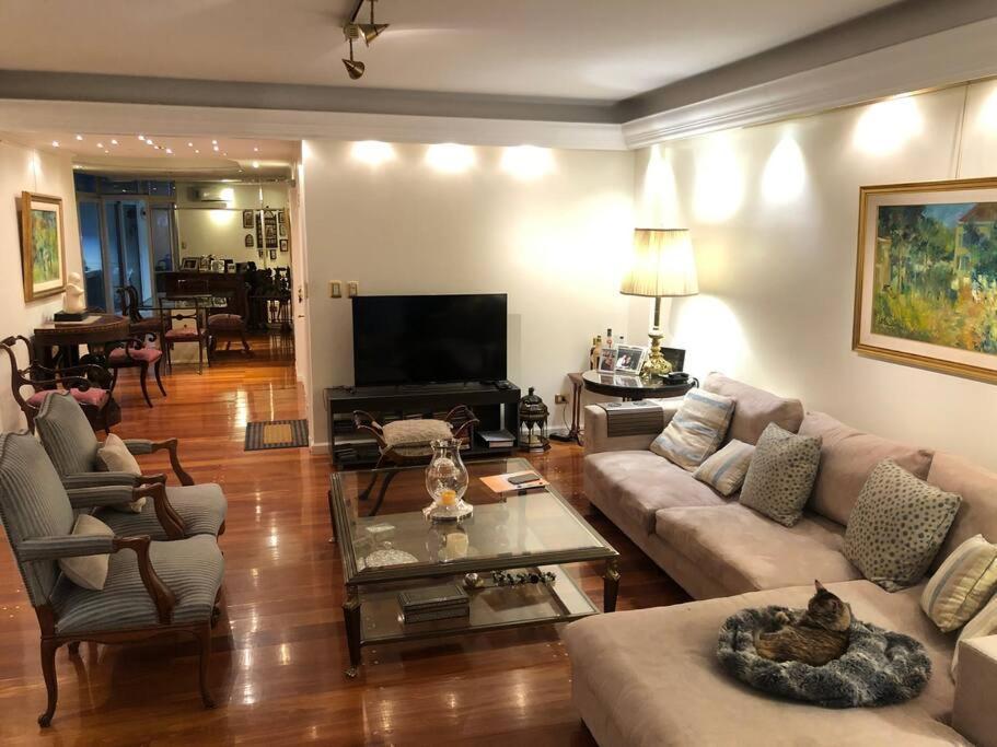 En Depto De Lujo Donde Viven 4 Gatitos Ciudad Autónoma de Buenos Aires