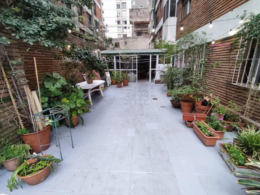 Beautifull With A Terrace In Recoleta