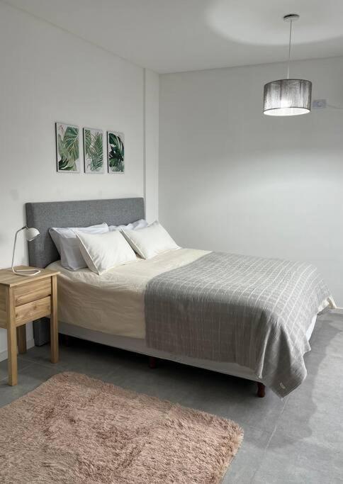 Modern And Charm Studio In Palermo Soho Apartamento