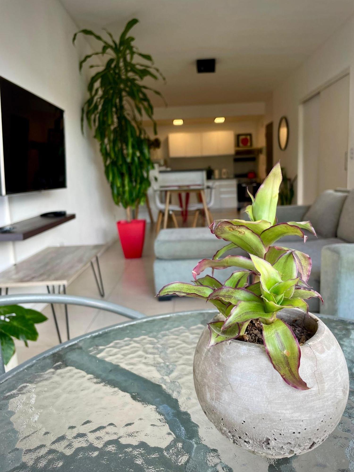 Palermo Hollywood Apartamento Ciudad Autónoma de Buenos Aires