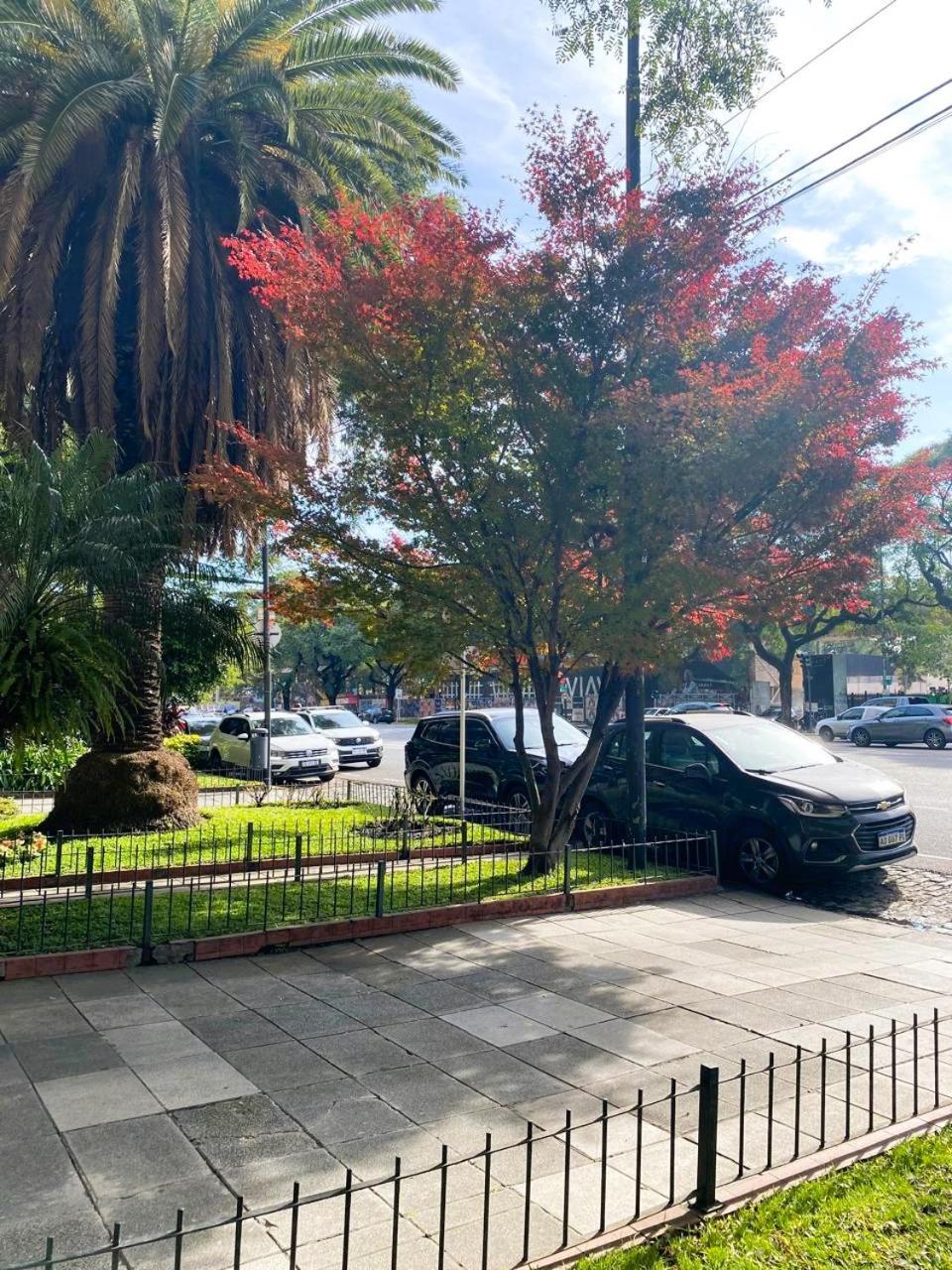 Libertador At Apartamento