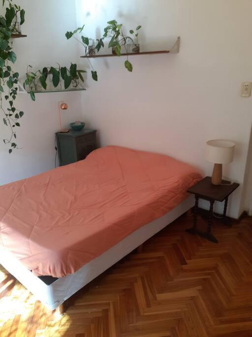 Apartamento Departamento En Palermo *