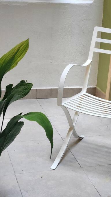 Amplio Y Calido Departamento En Palermo Con Patio