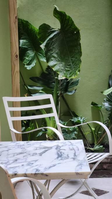 Apartamento Amplio Y Calido Departamento En Palermo Con Patio Buenos Aires