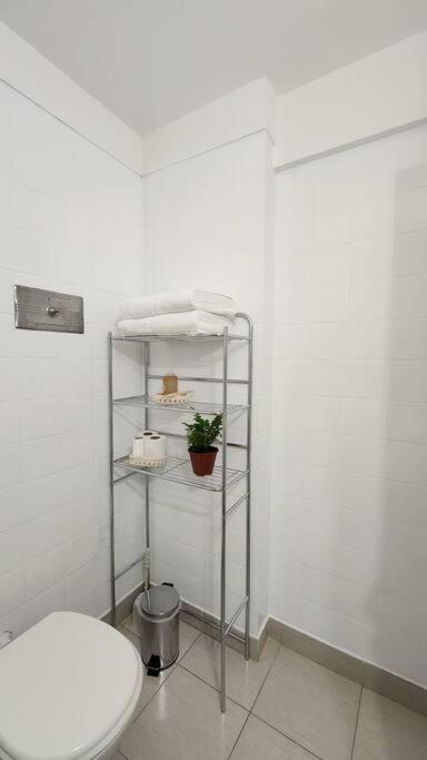 Apartamento Amplio Y Calido Departamento En Palermo Con Patio *