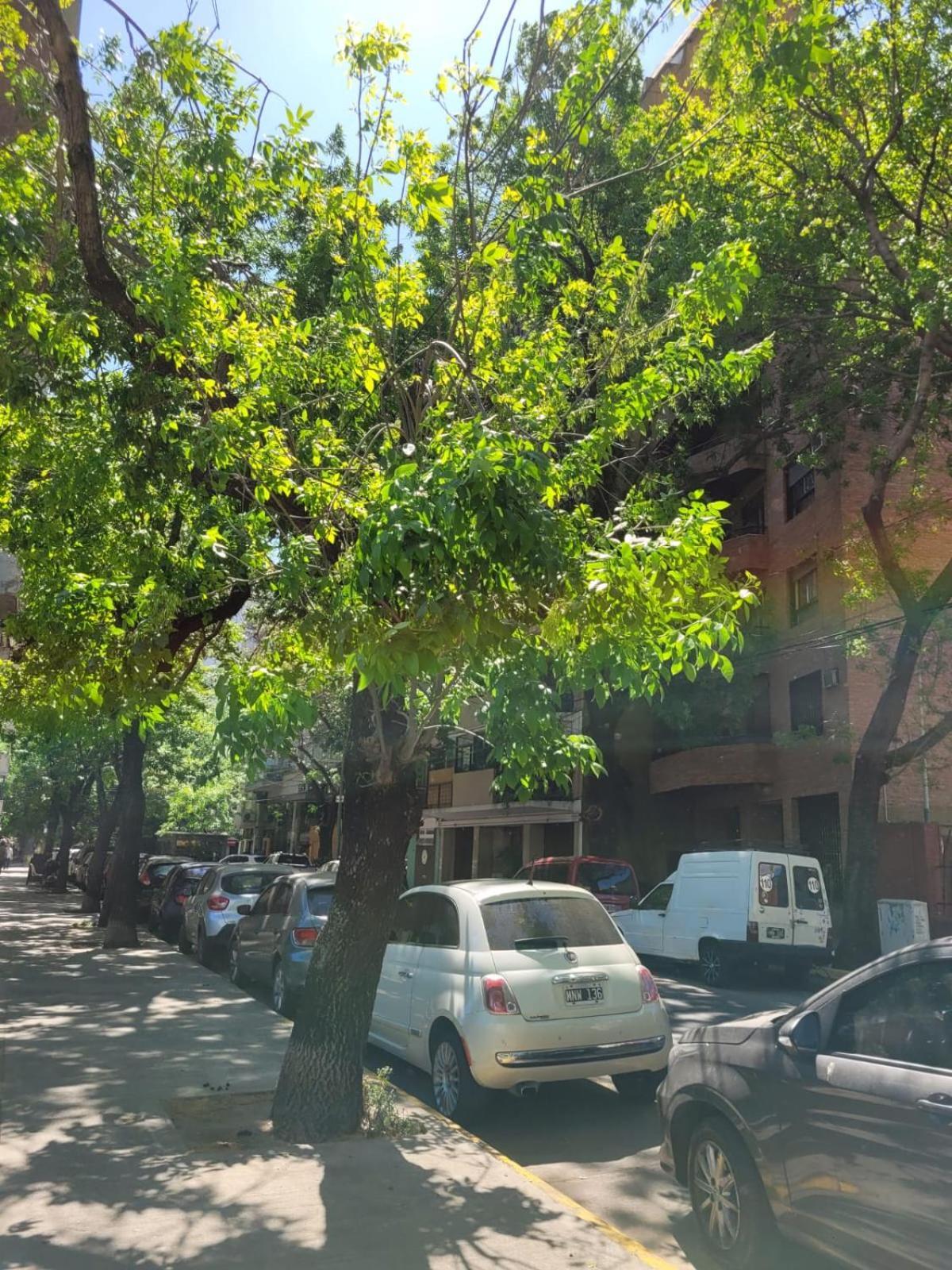 Canitas Departamento Hasta 3p Ciudad Autónoma de Buenos Aires