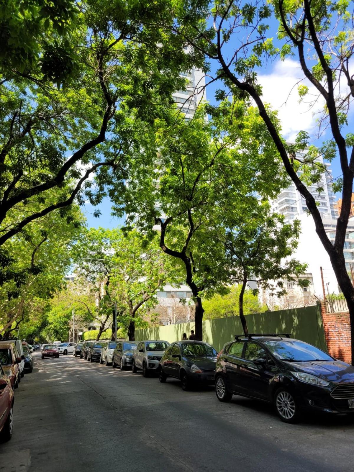 Canitas Departamento Hasta 3p