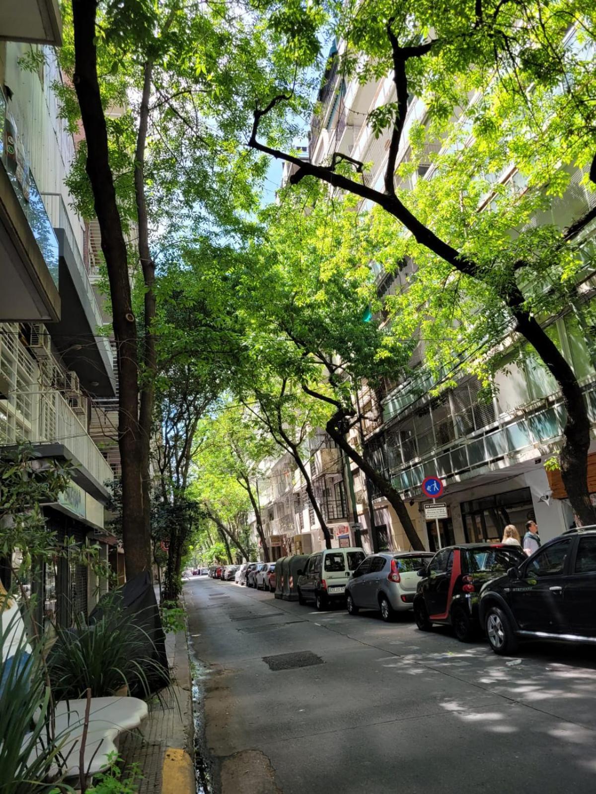 Canitas Departamento Hasta 3p Apartamento