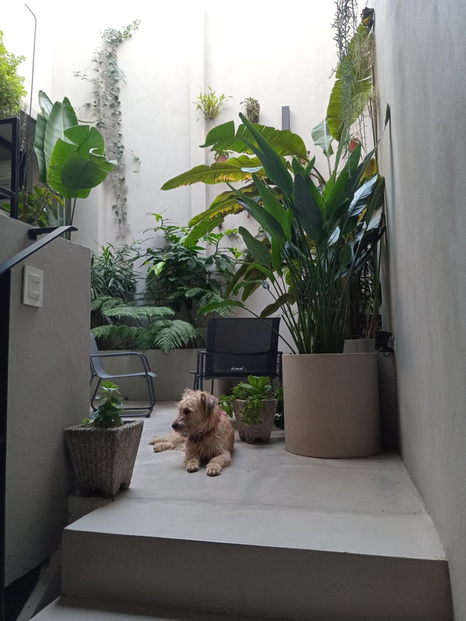 Con Bano Uso Exclusivo En Casa Compartida En Primer Piso Por Escalera Ciudad Autónoma de Buenos Aires
