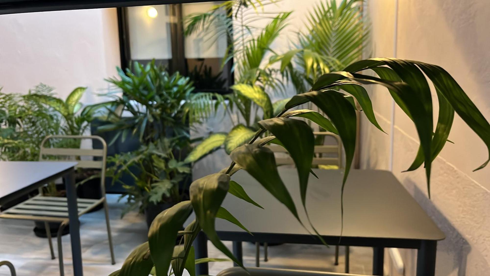 Apartahotel Charcas Palermo Soho