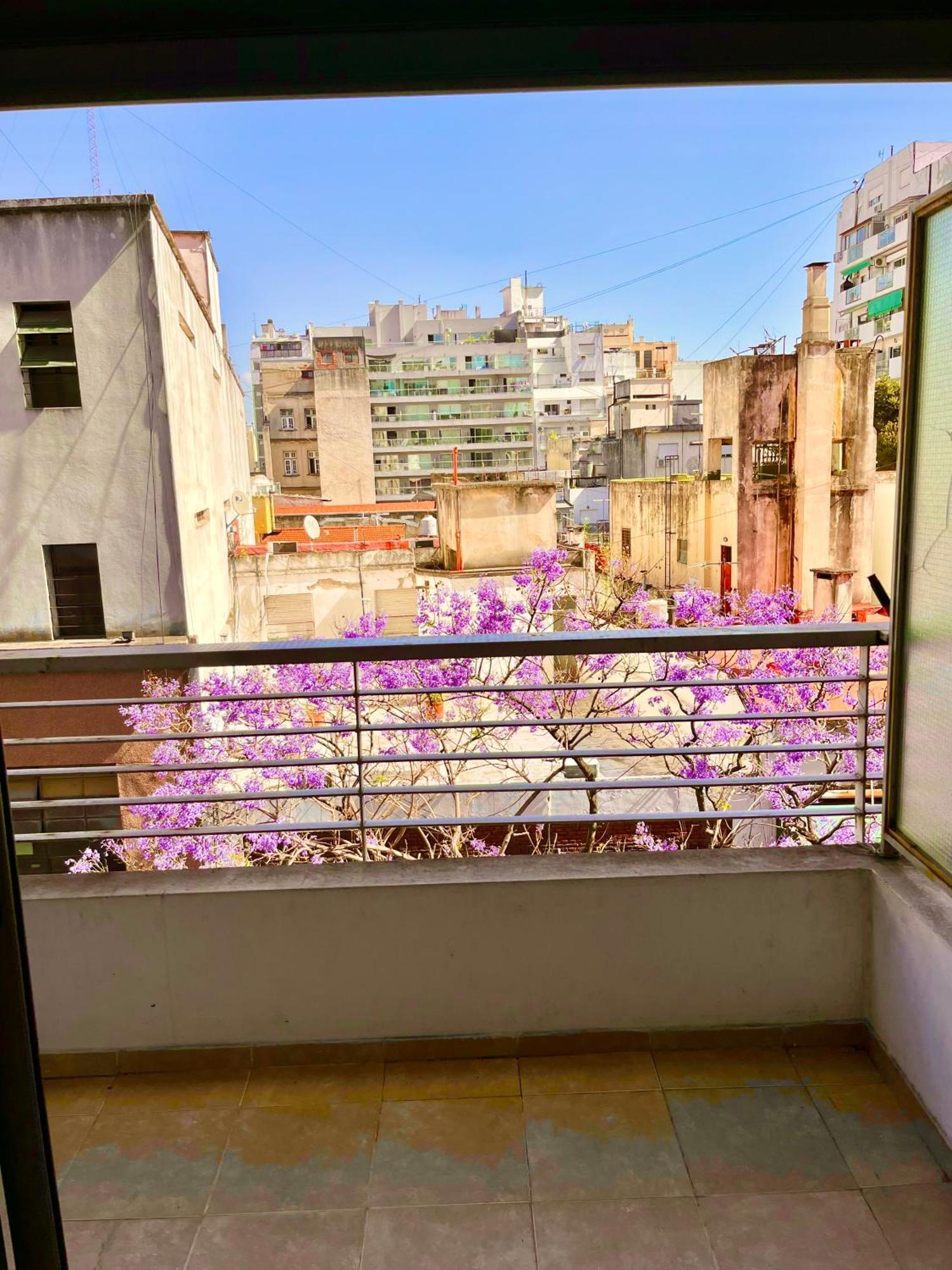 Via-estudio Exclusivo Categoria Ciudad Autónoma de Buenos Aires