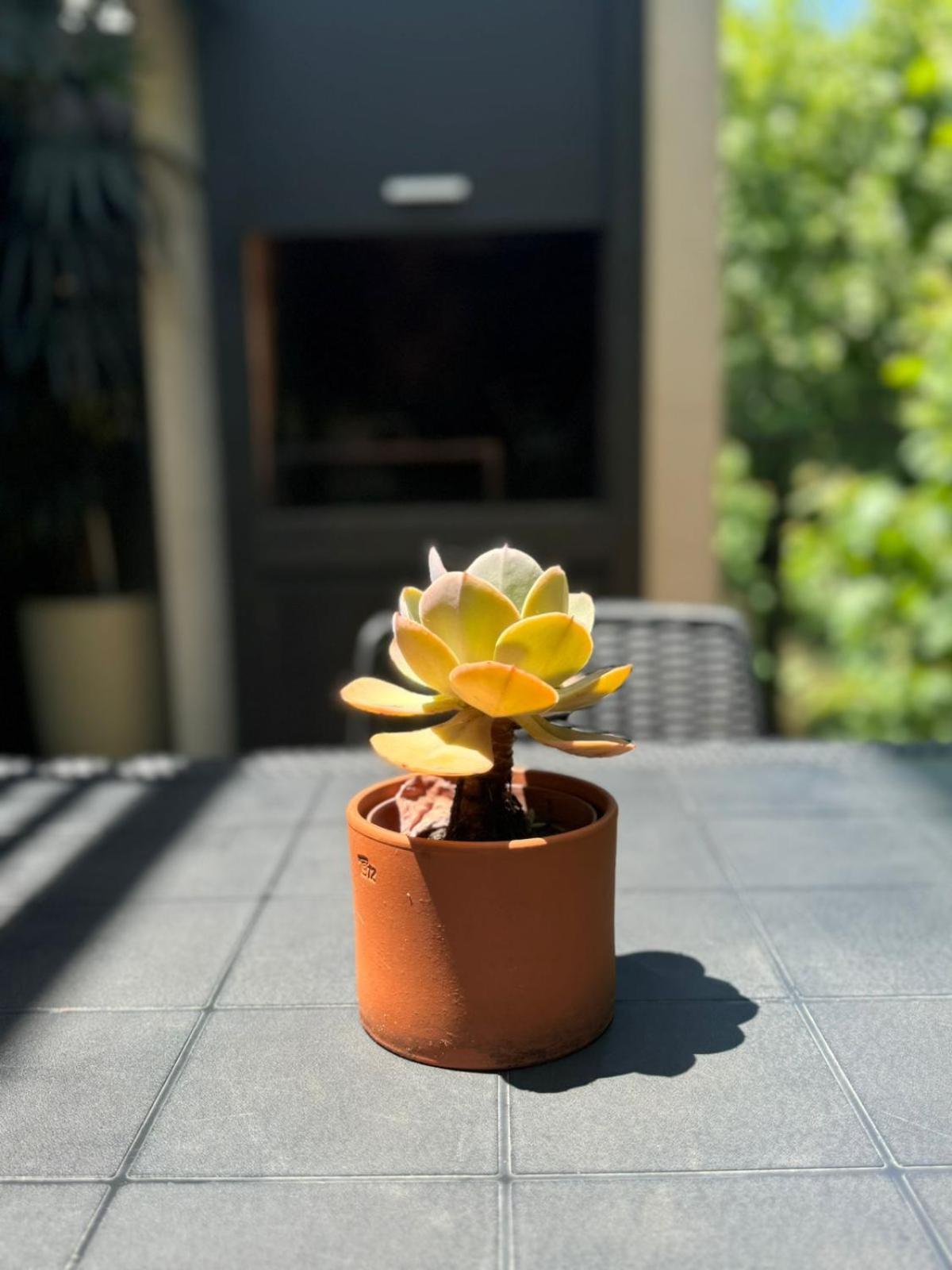 Bed and breakfast Departamento A Estrenar, Palermo Hollywood Vii